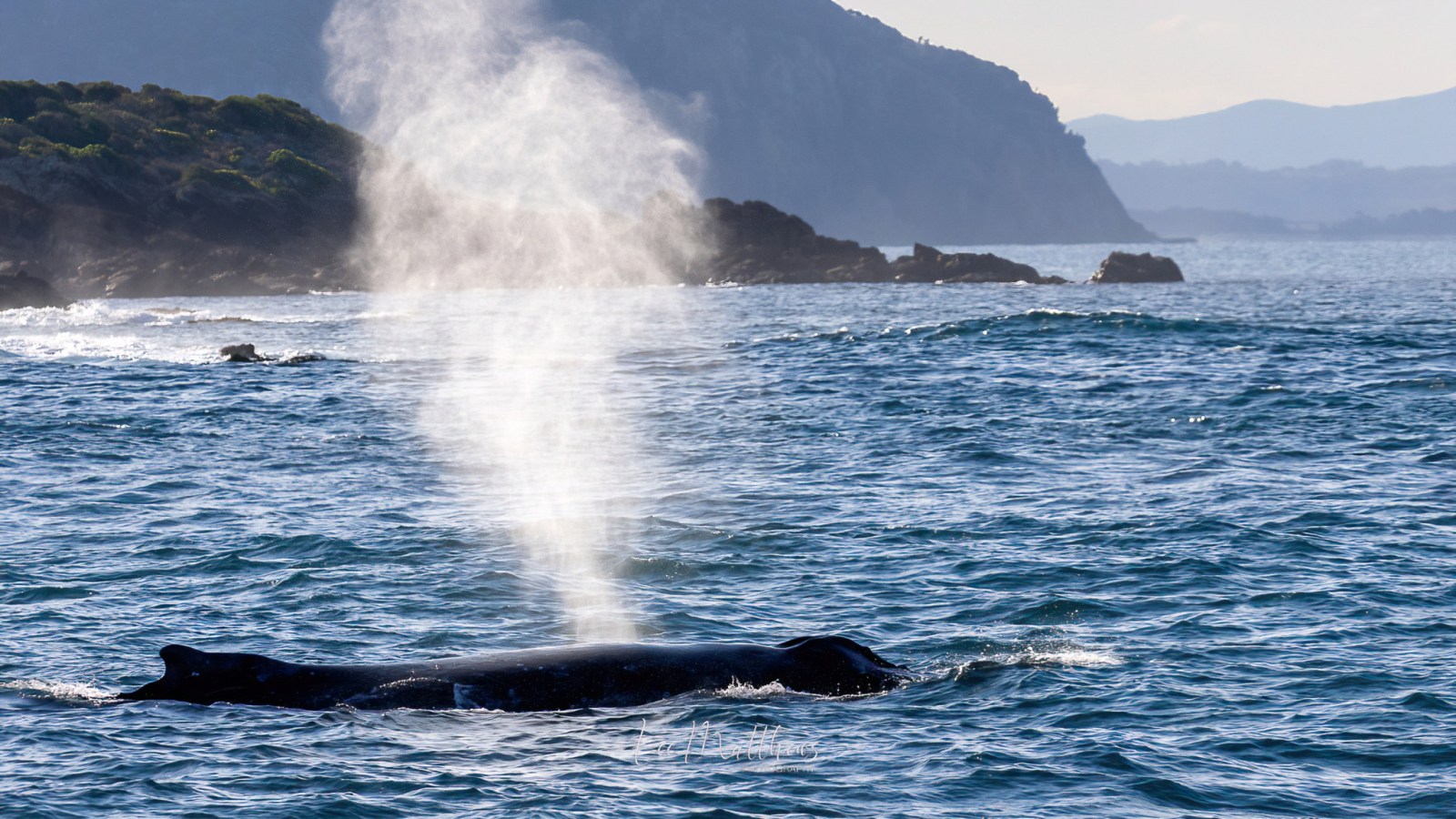 a body of water with a mountain in the background
