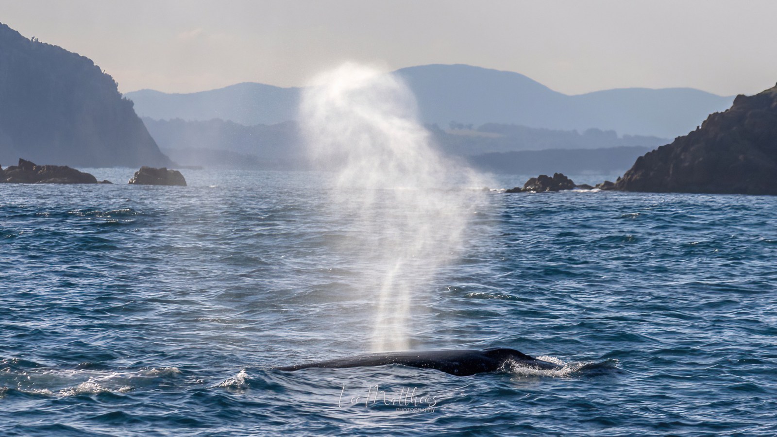 a body of water with a mountain in the background