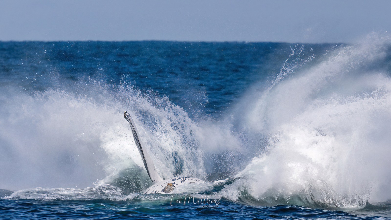 a man riding a wave on a surfboard in the water