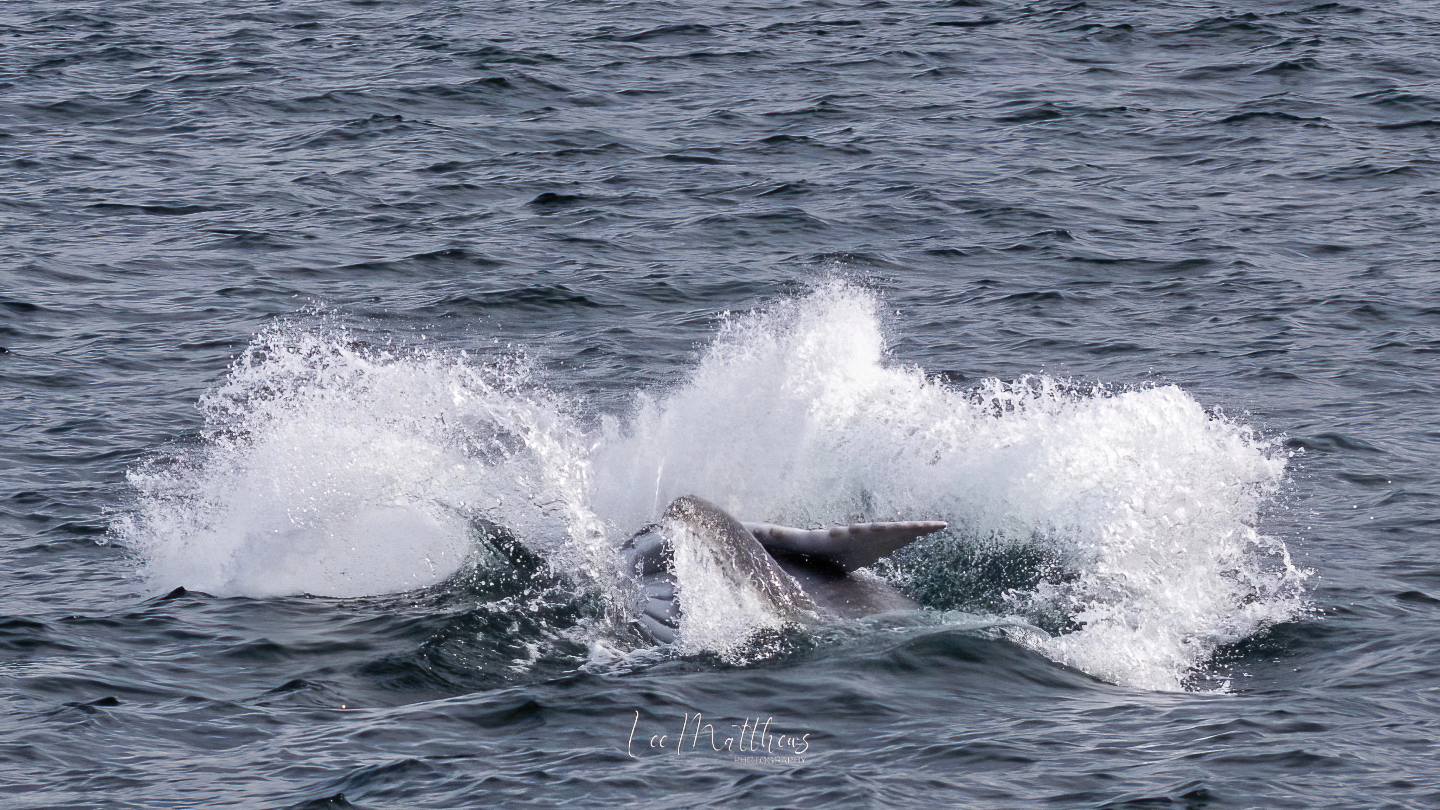 a girl riding a wave on a surfboard in the ocean