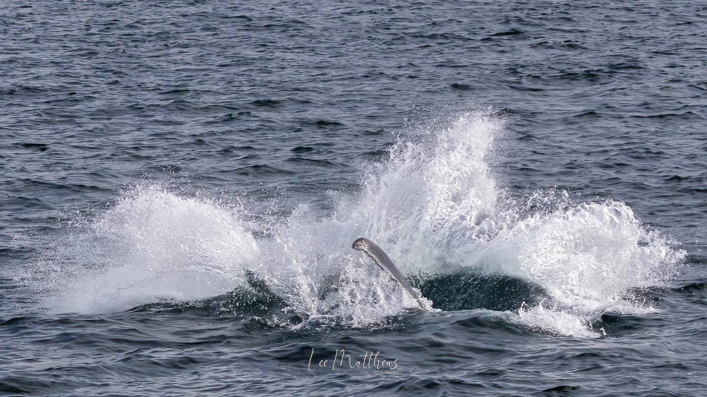 a girl riding a wave on a surfboard in the water