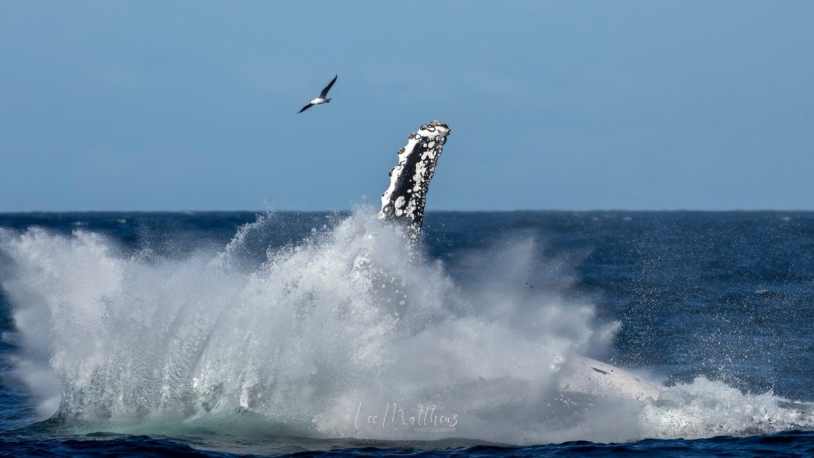 a man flying through the air while riding a wave in the ocean