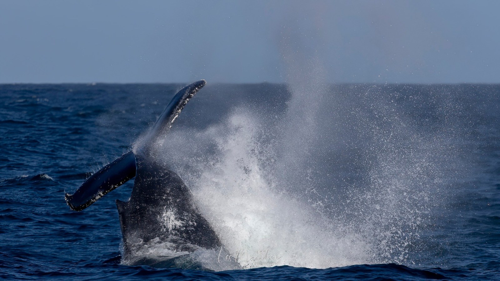 a man flying through the air while riding a wave in the ocean