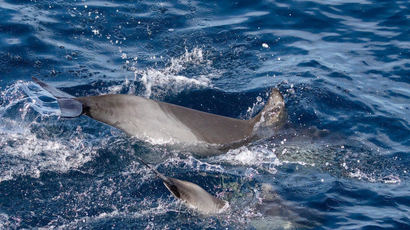 a man riding a wave on a surfboard in the water
