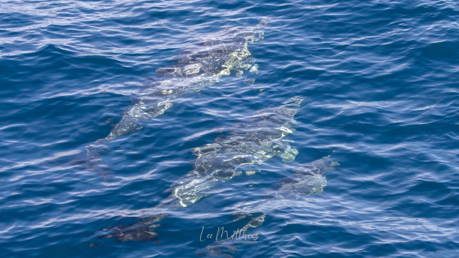 water next to the ocean