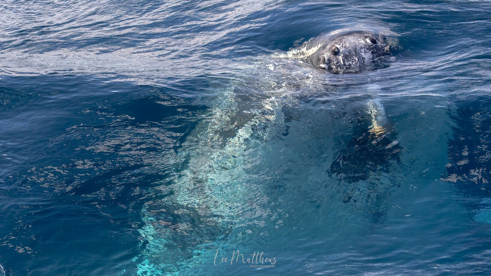 a person riding a wave on a surfboard in the water