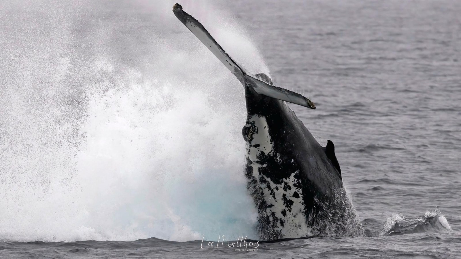 a person riding a wave on top of a body of water