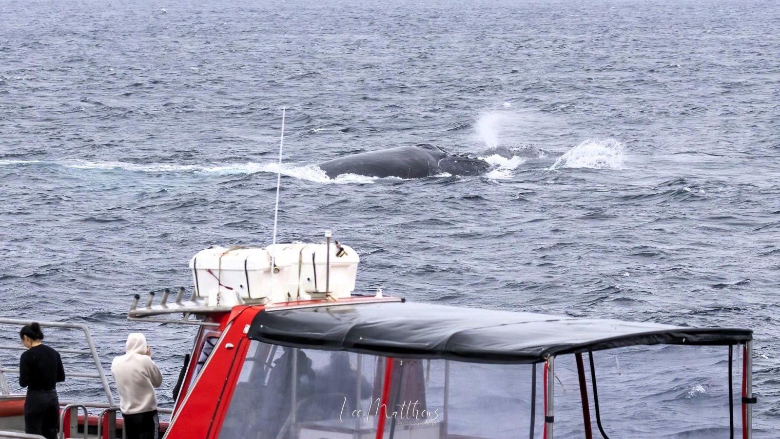a small boat in a body of water
