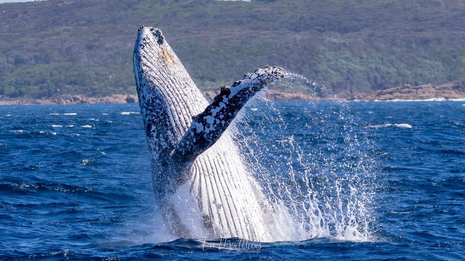 a man riding a wave on top of a body of water