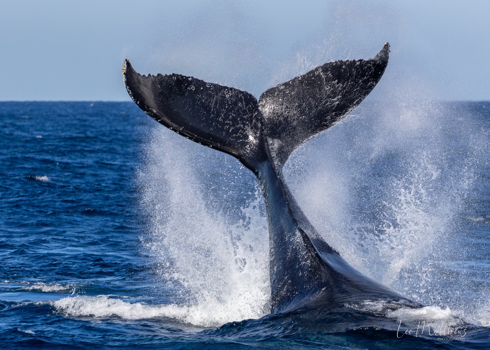 a man riding a wave on a surfboard in the water