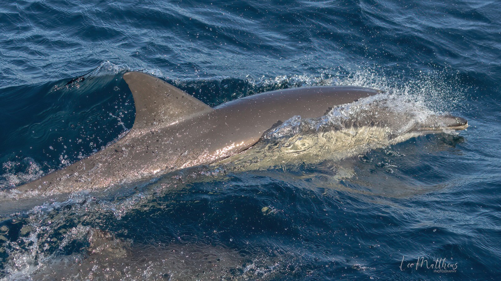 a man riding a wave on a surfboard in the water