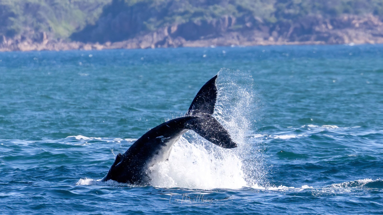 a man riding a wave on top of a body of water
