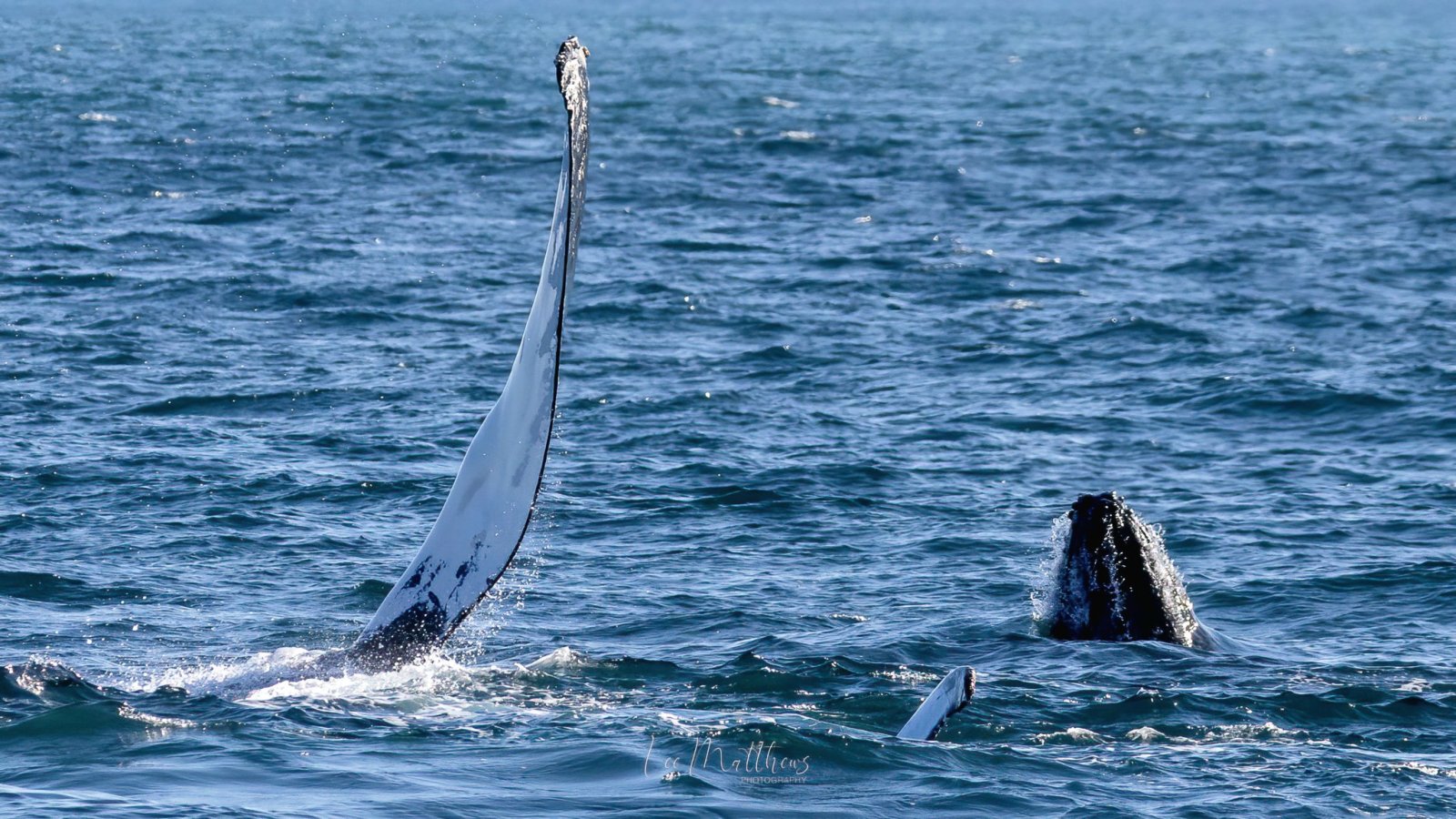 a body of water next to the ocean