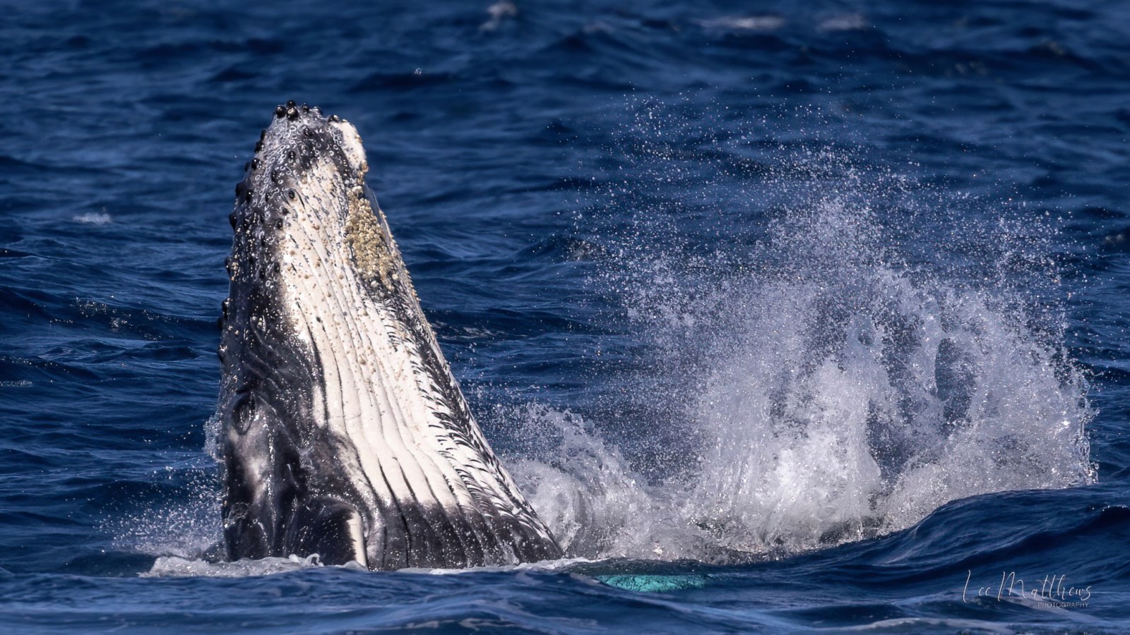 a person riding a wave on a surfboard in the water