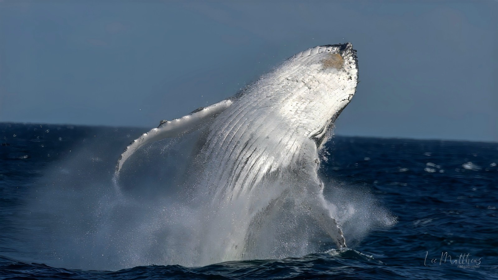 a man riding a wave on a surfboard in the water