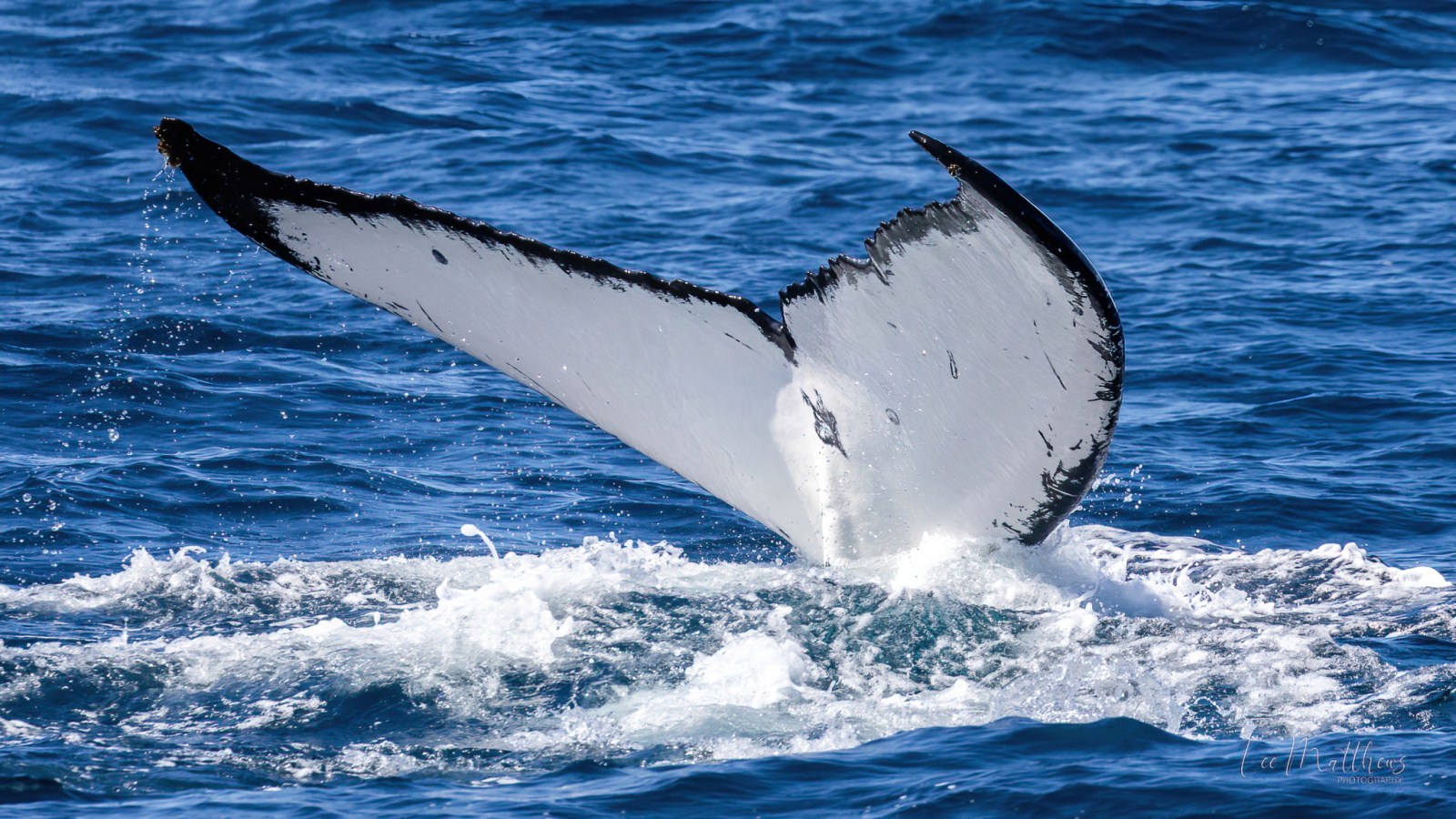 a man riding a wave on a surf board on a body of water