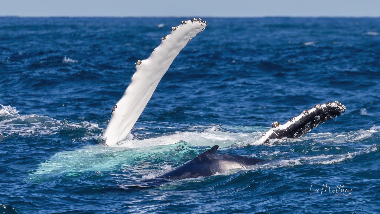 a person flying through the air while riding a wave in the ocean