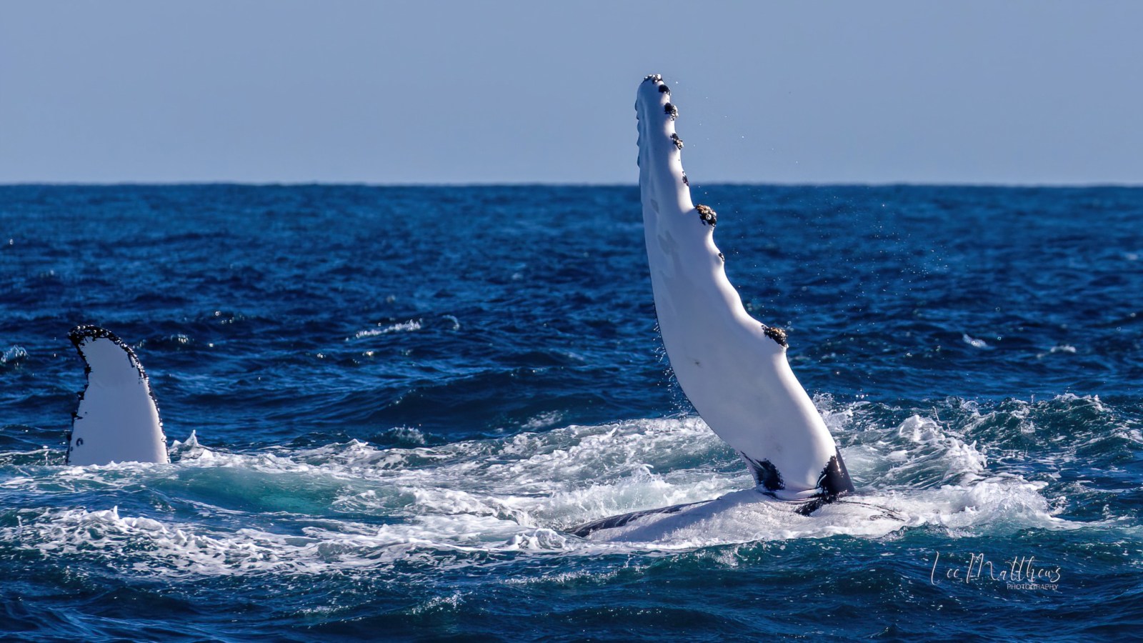 a man flying through the air while riding a wave in the ocean
