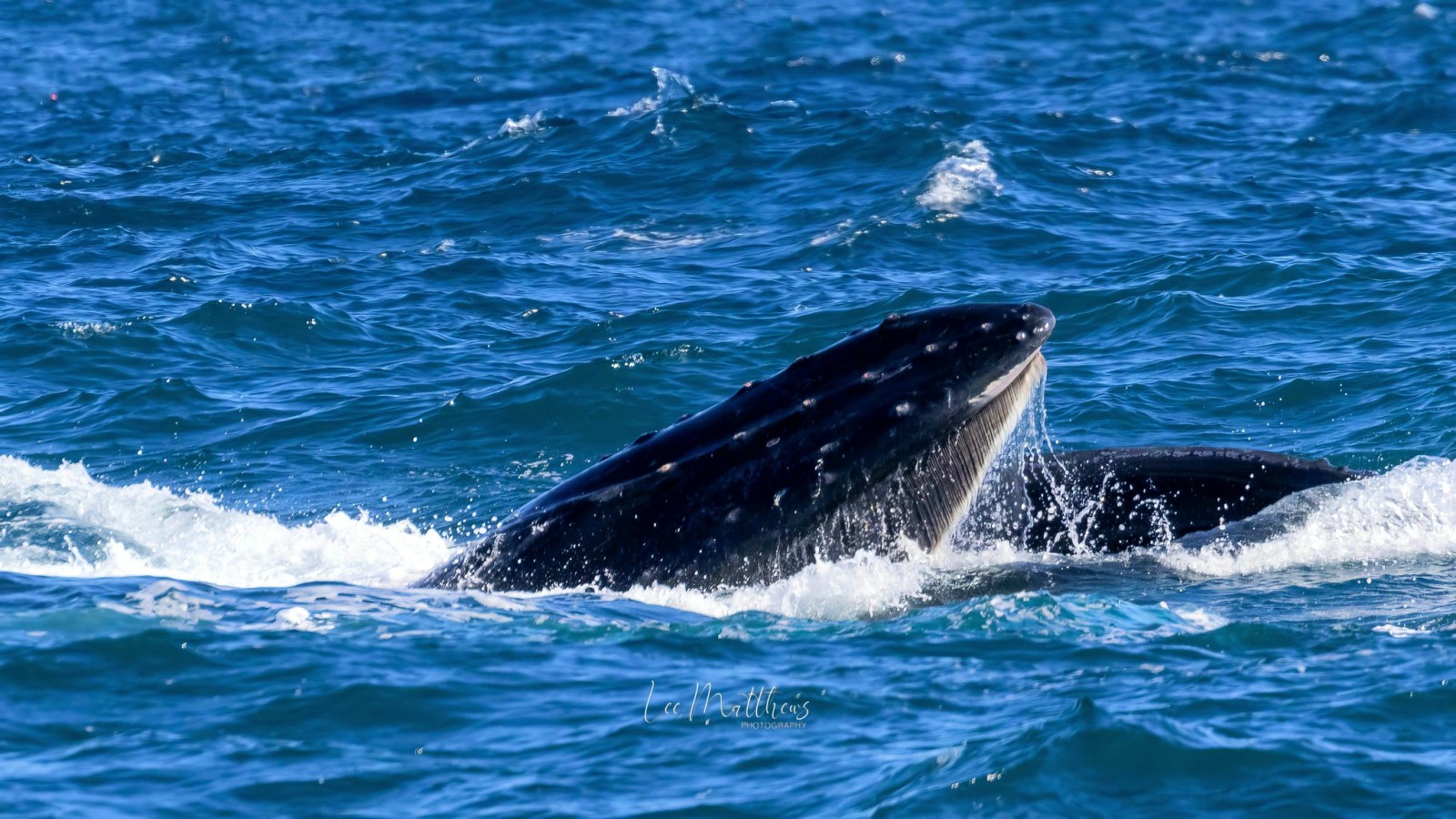 water next to the ocean