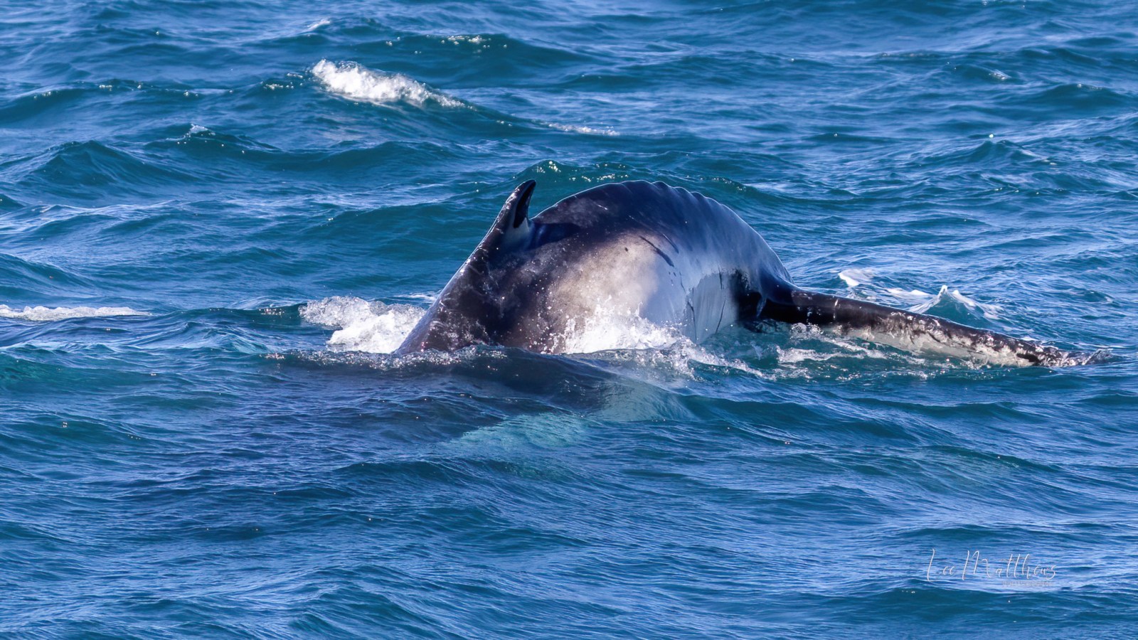 a person riding a wave on a surfboard in the ocean