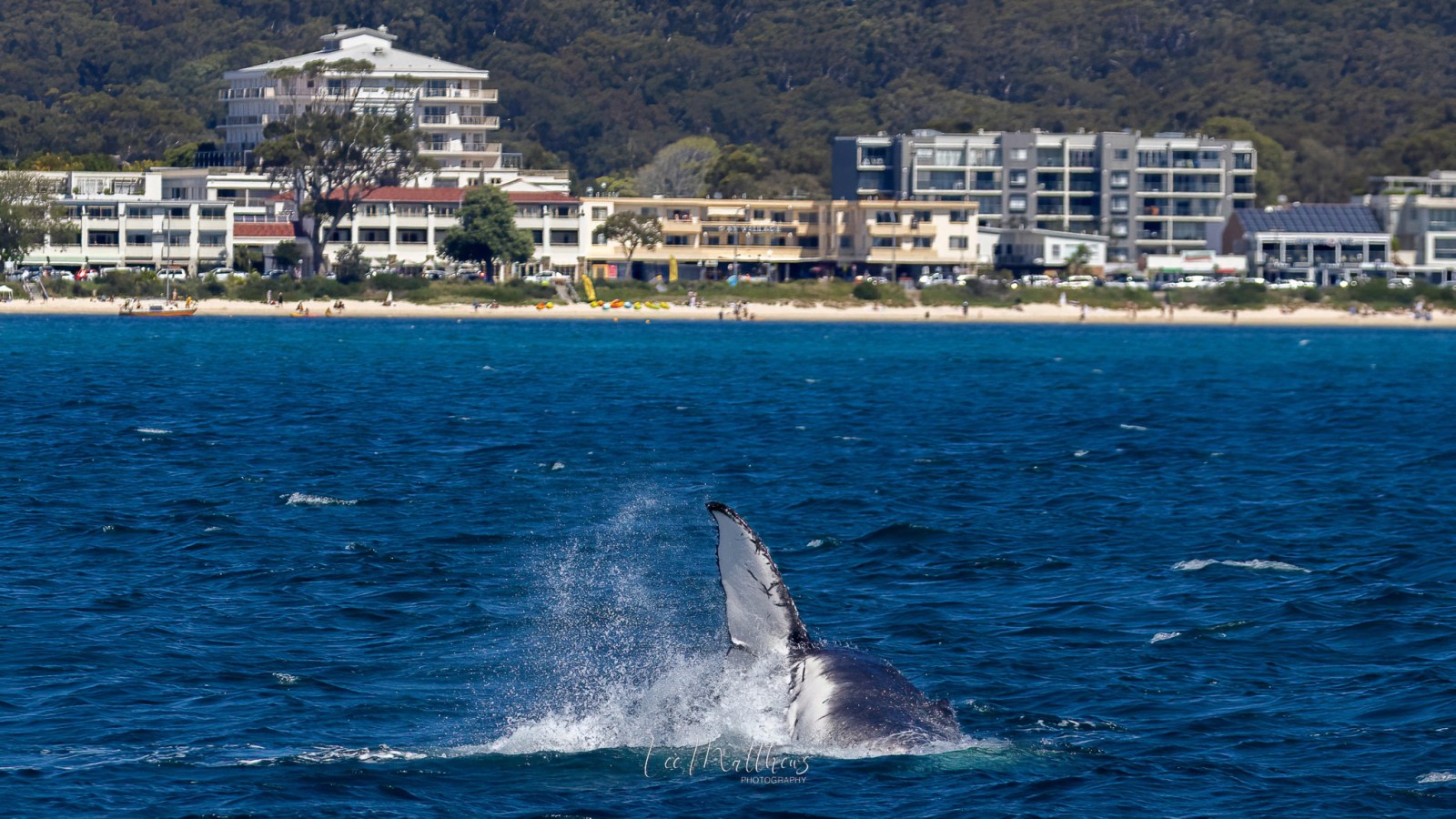a large body of water with a city in the background