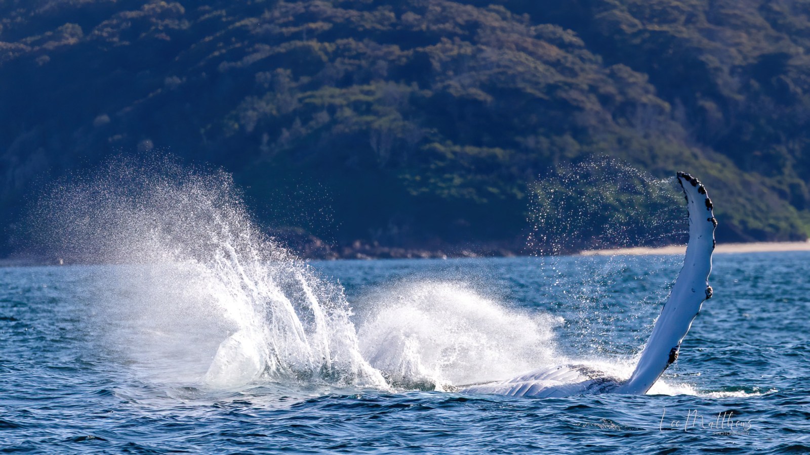 a body of water with a mountain in the background