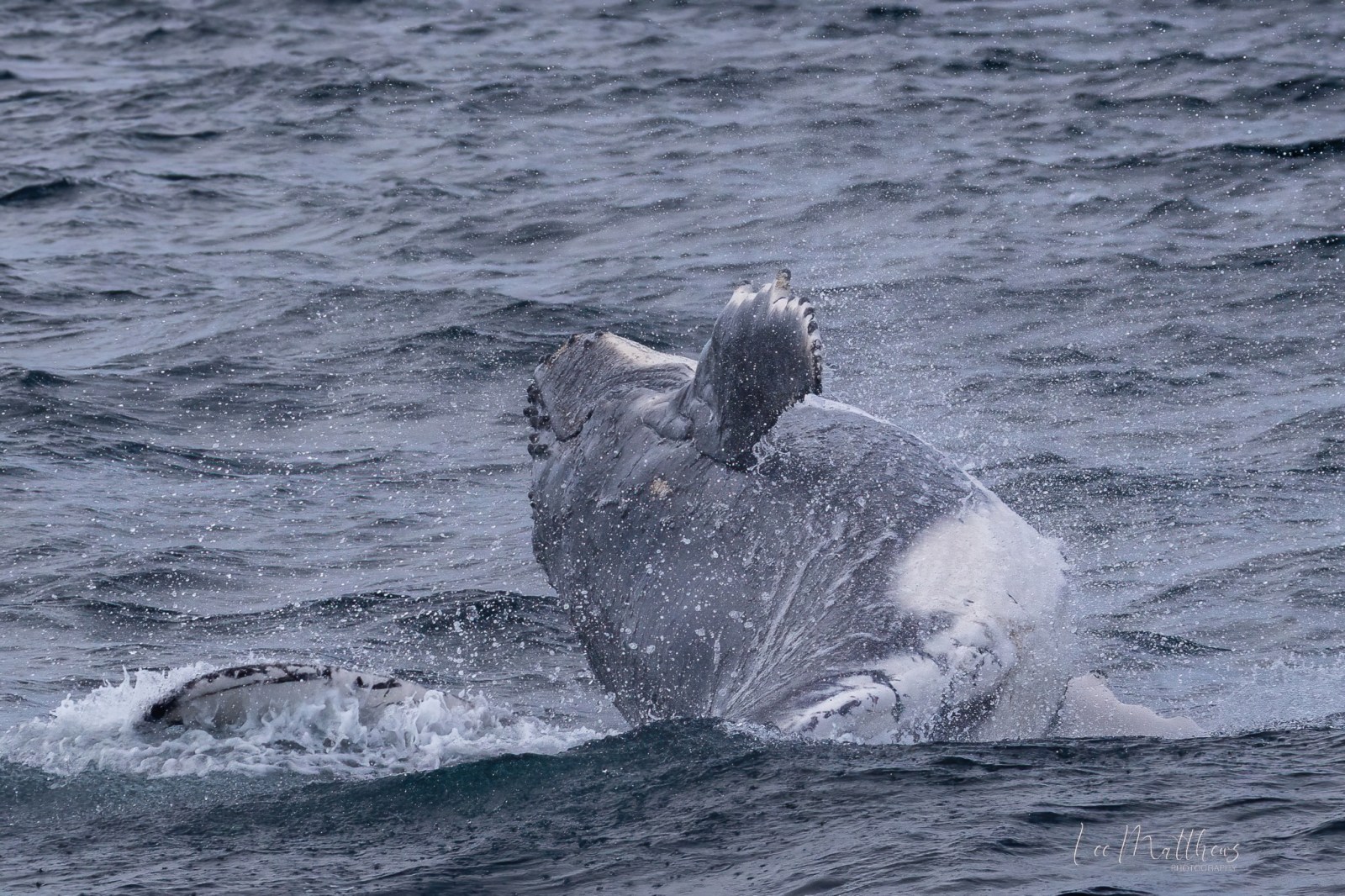 a man riding a wave on top of a body of water