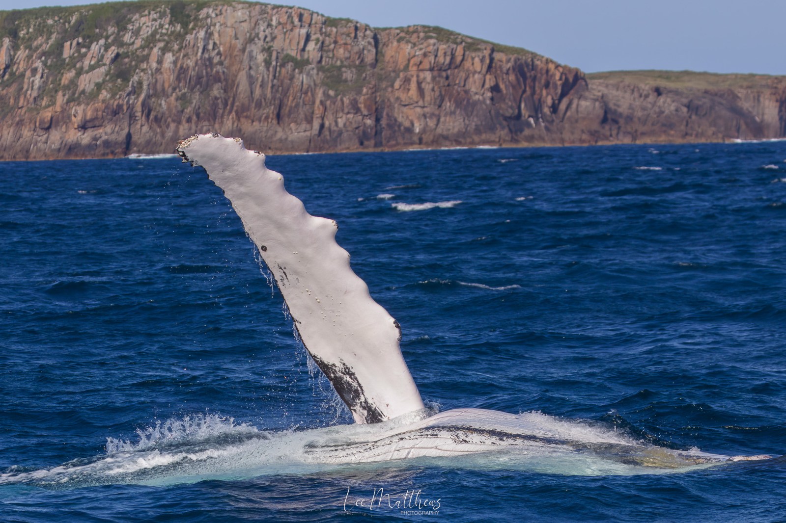 a body of water with a mountain in the background