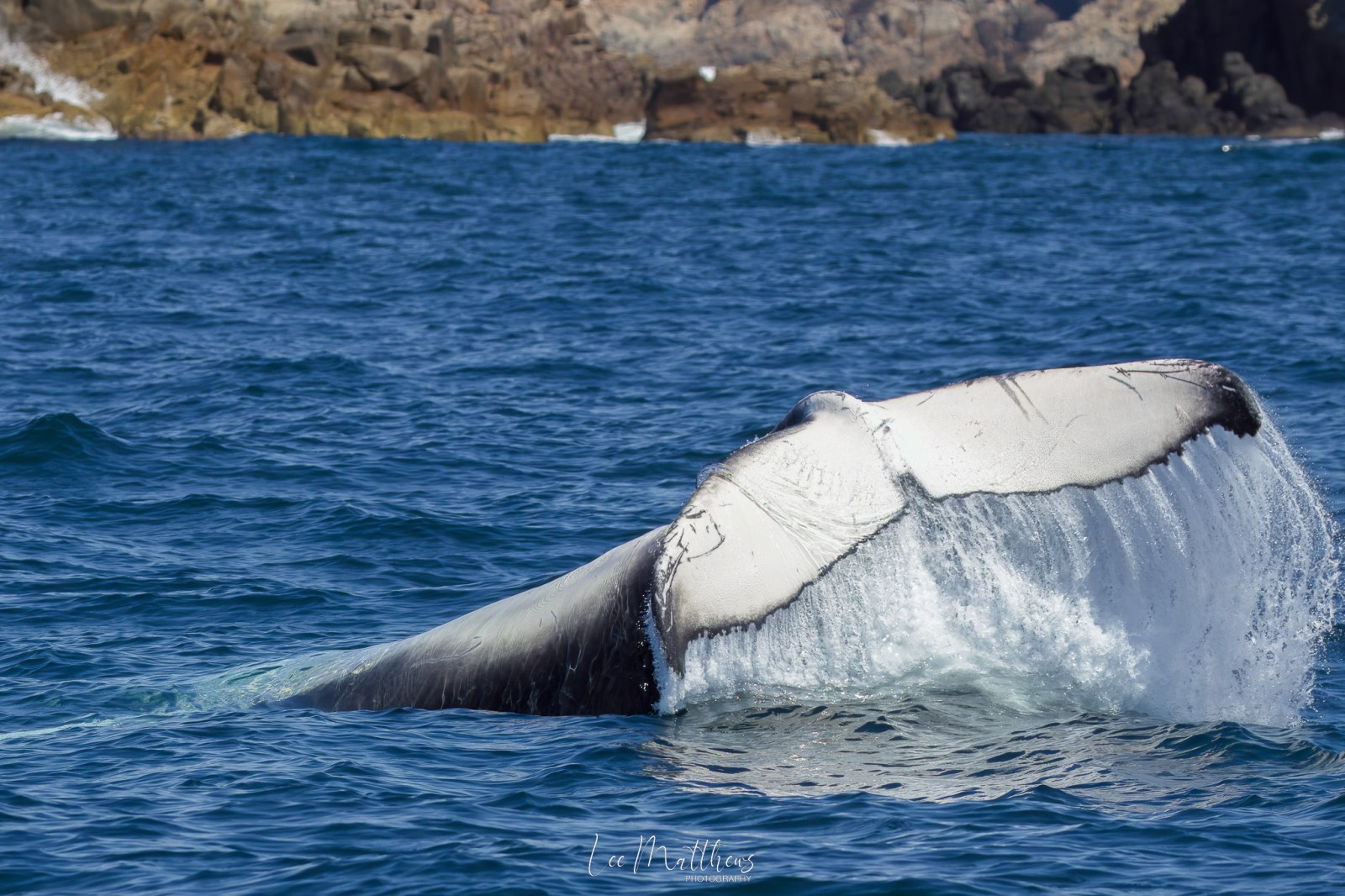 a man riding a wave on a surfboard in the water