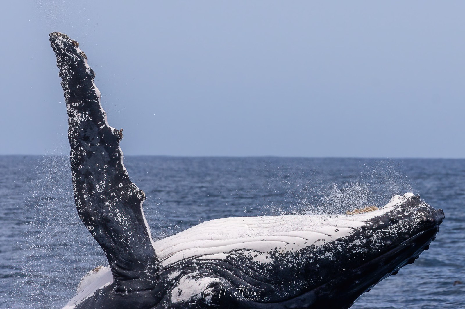a person riding a surf board in the water