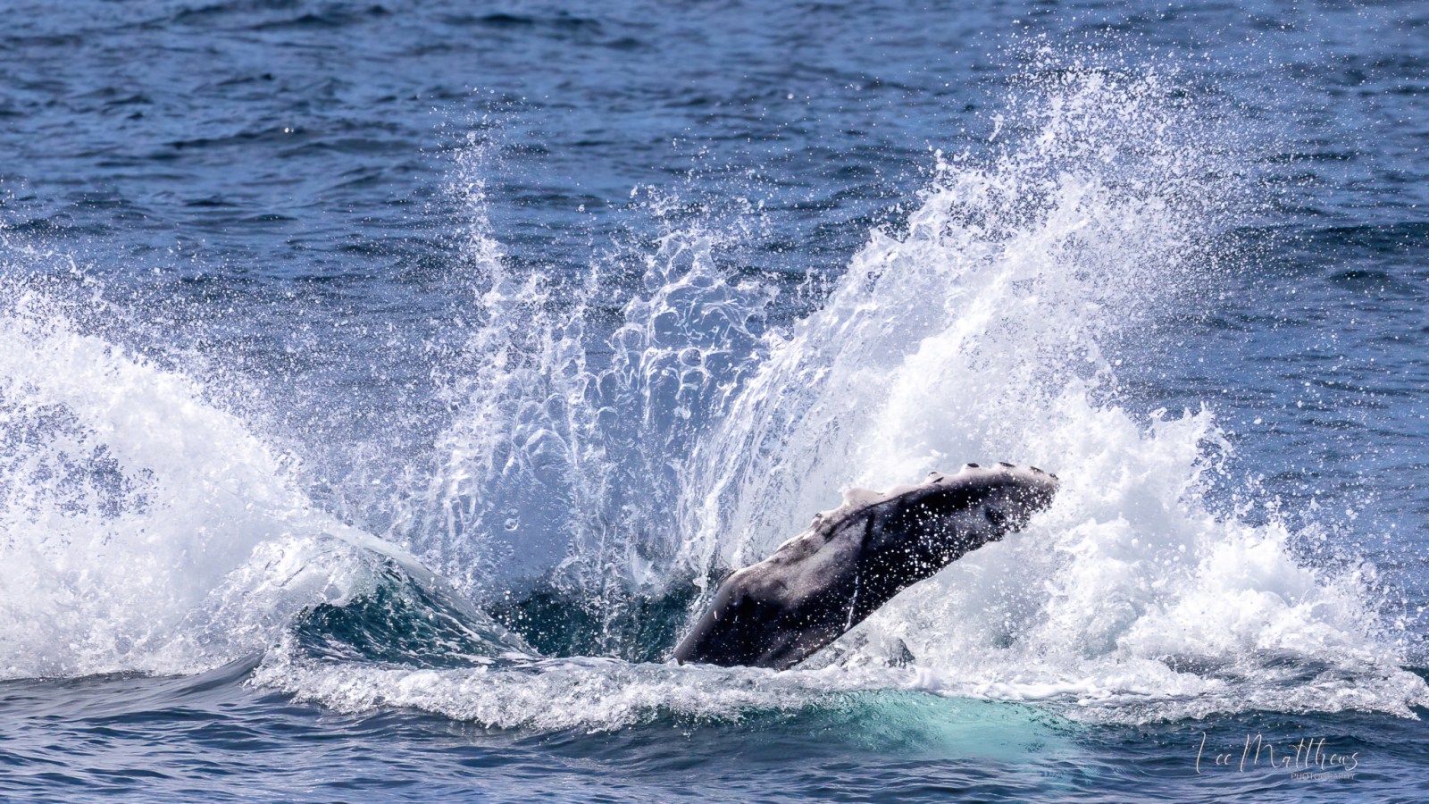 a man riding a wave on a surfboard in the water