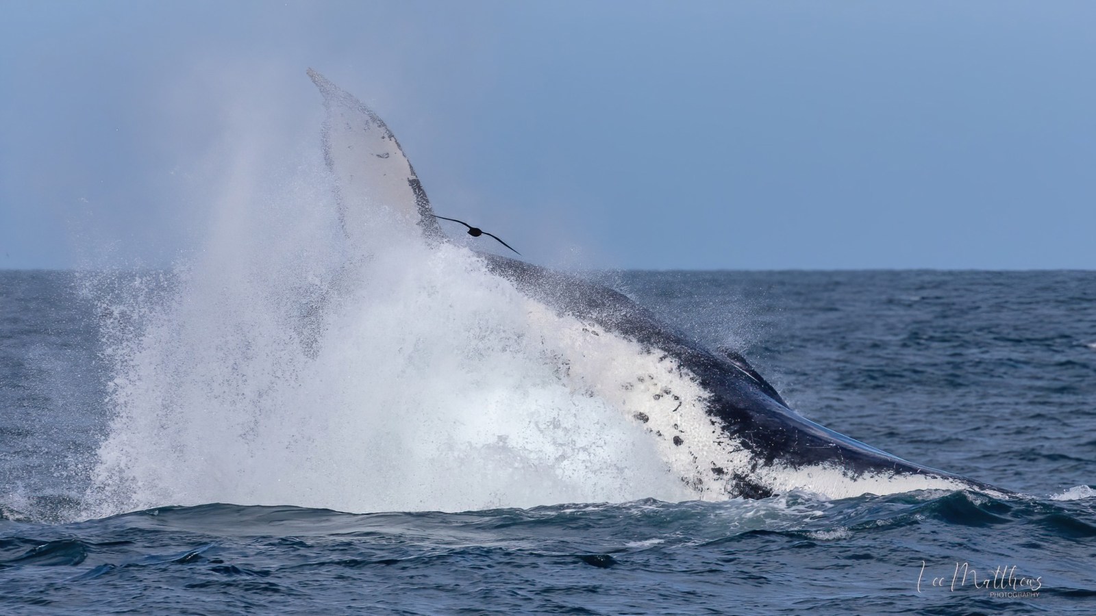 a man riding a wave on a surfboard in the water