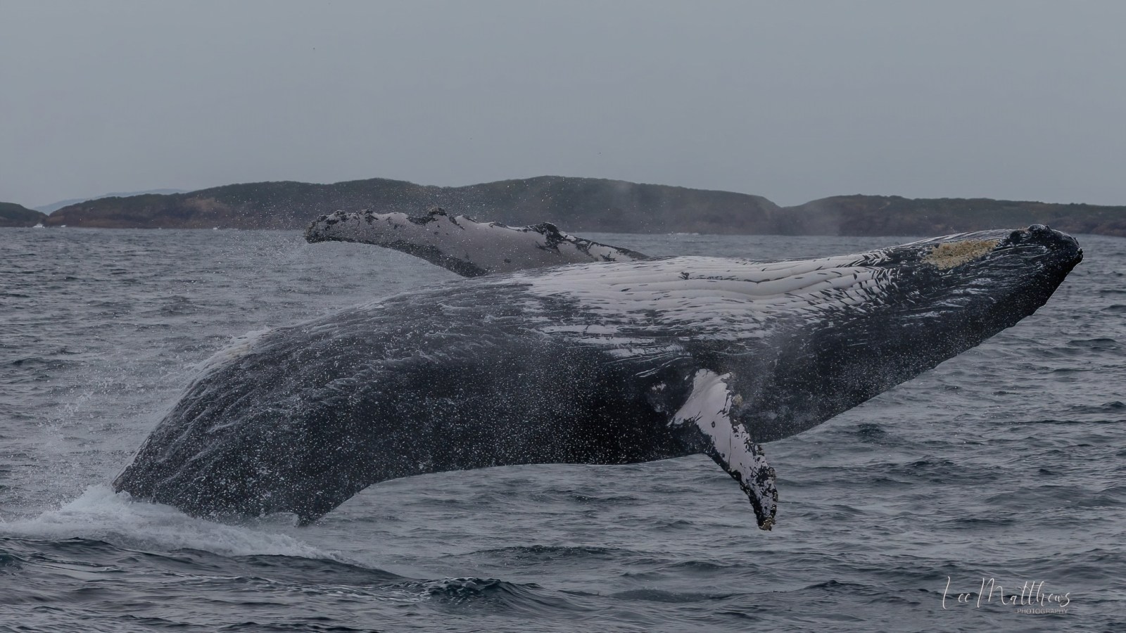 a man flying through the air over a body of water