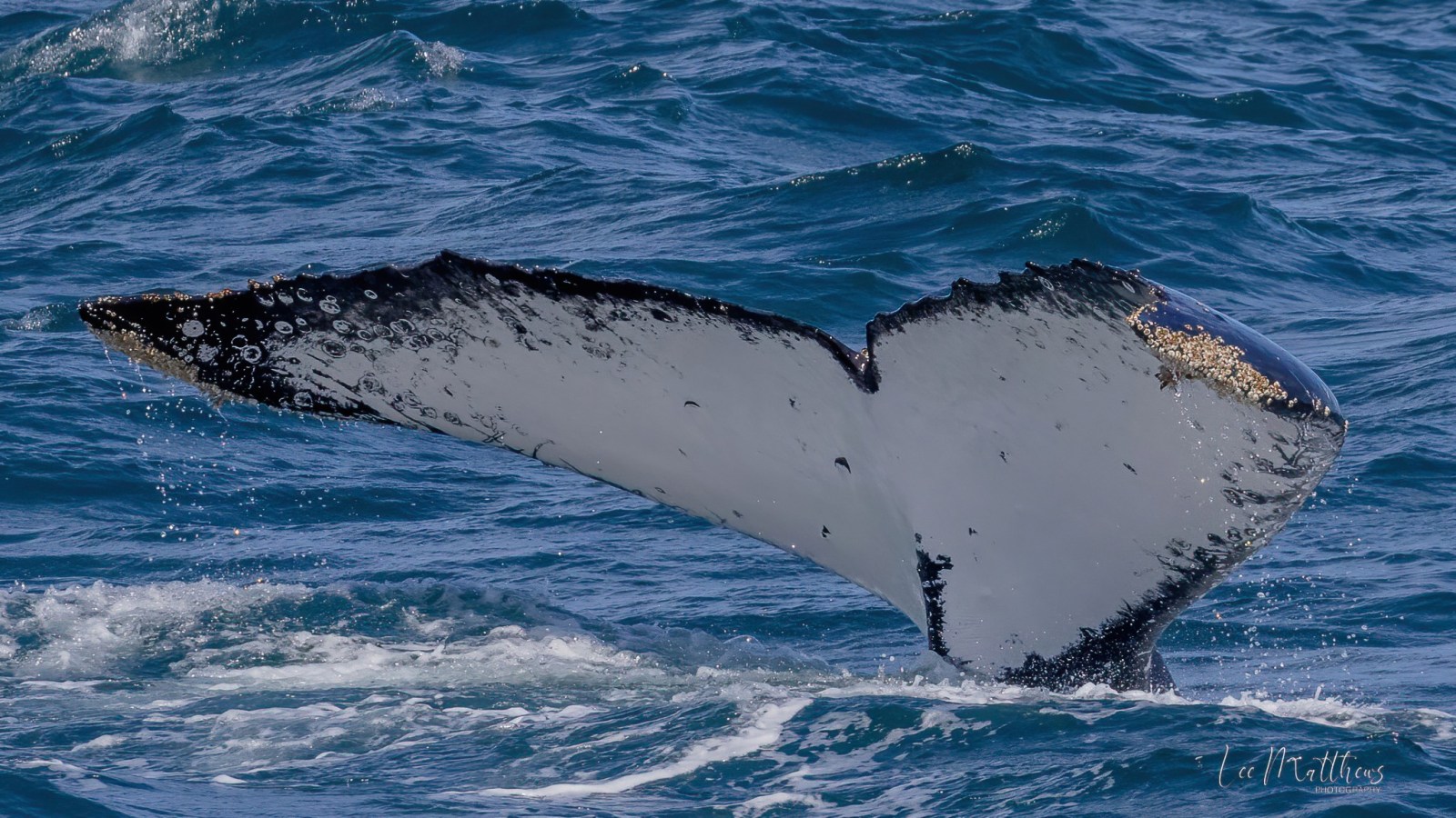 a man riding a wave on a surfboard in the water