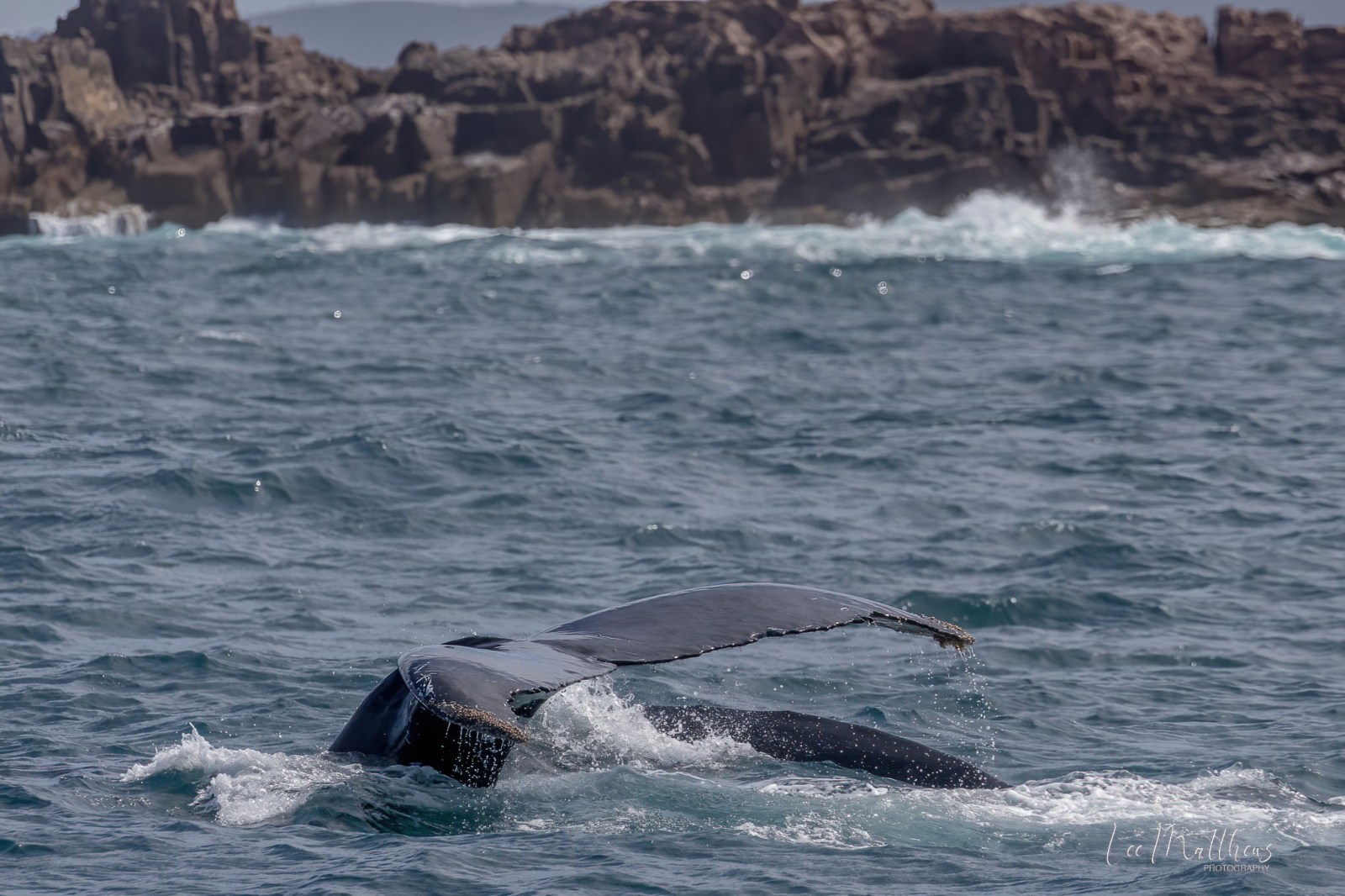 a man riding a wave on a surf board on a body of water