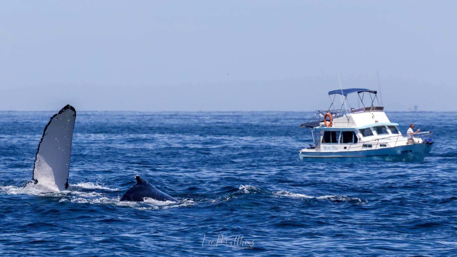 a large ship in a body of water