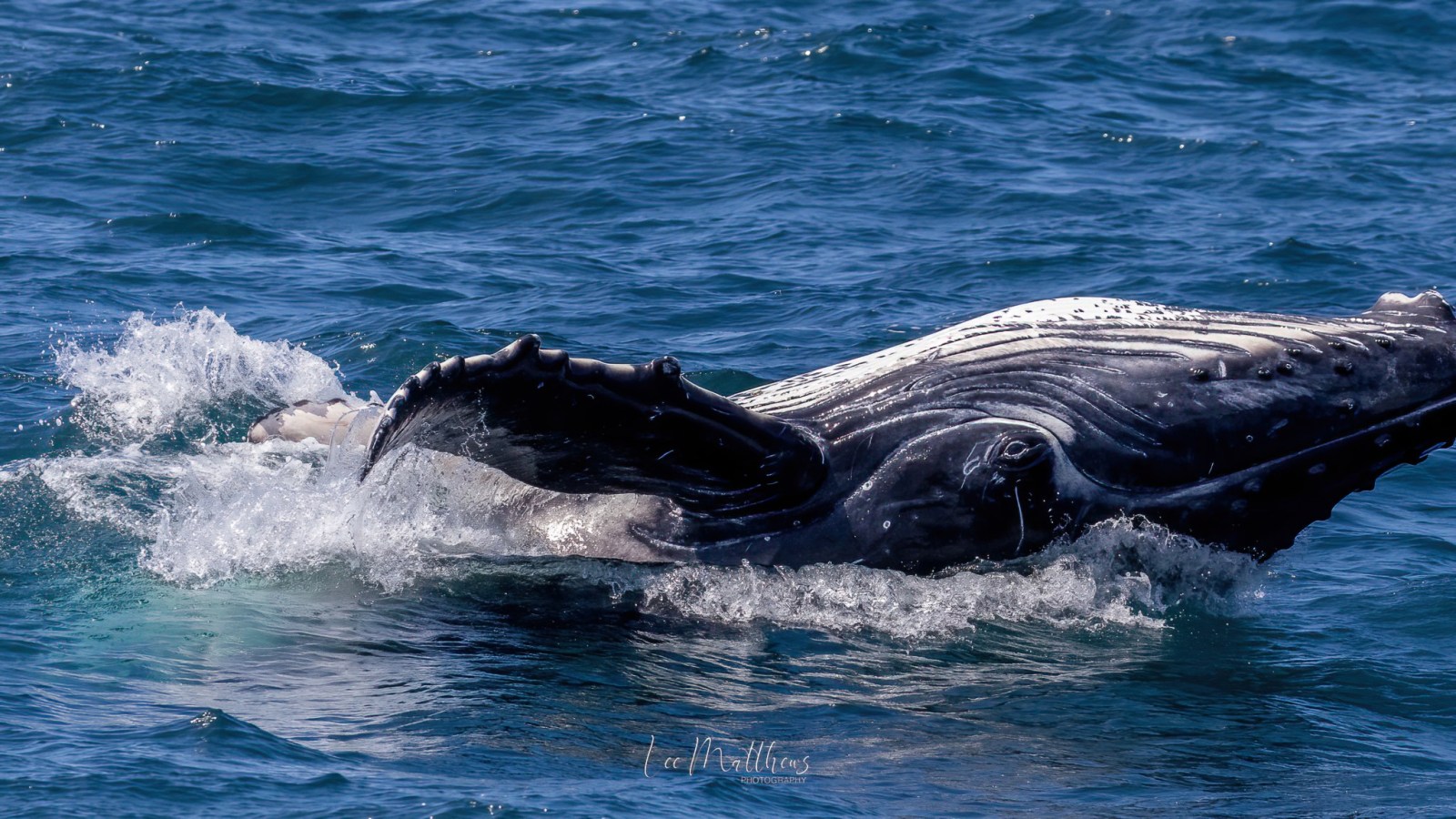 a man lying in a body of water