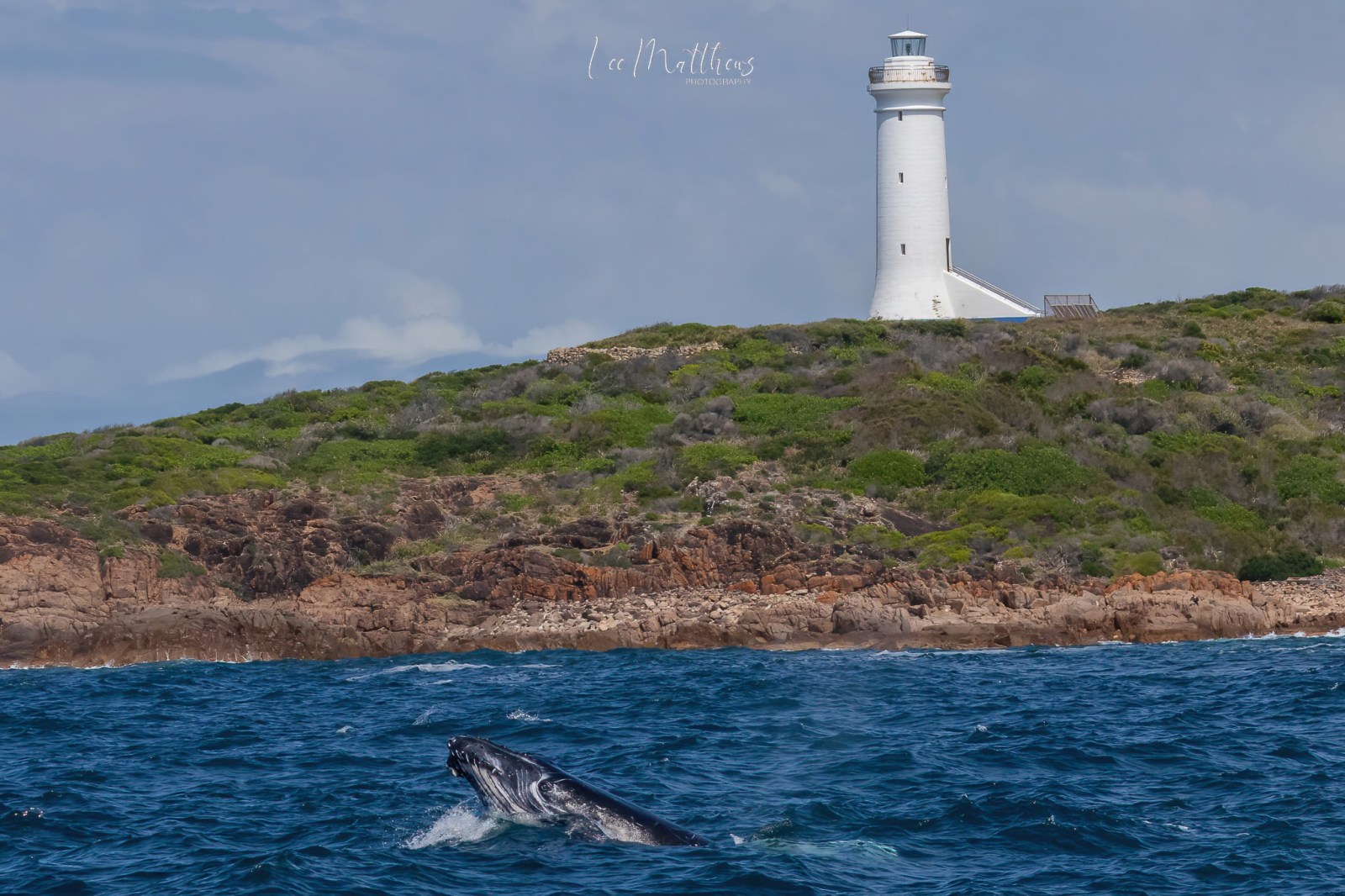 an island in the middle of a body of water