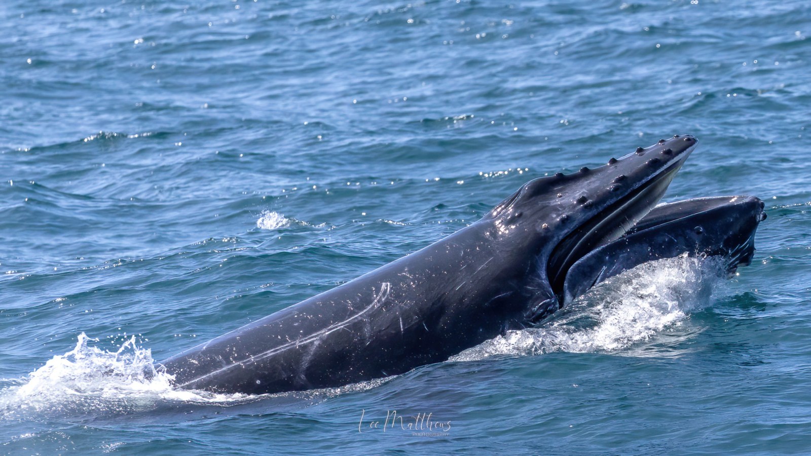 a person riding a wave on a surfboard in the water