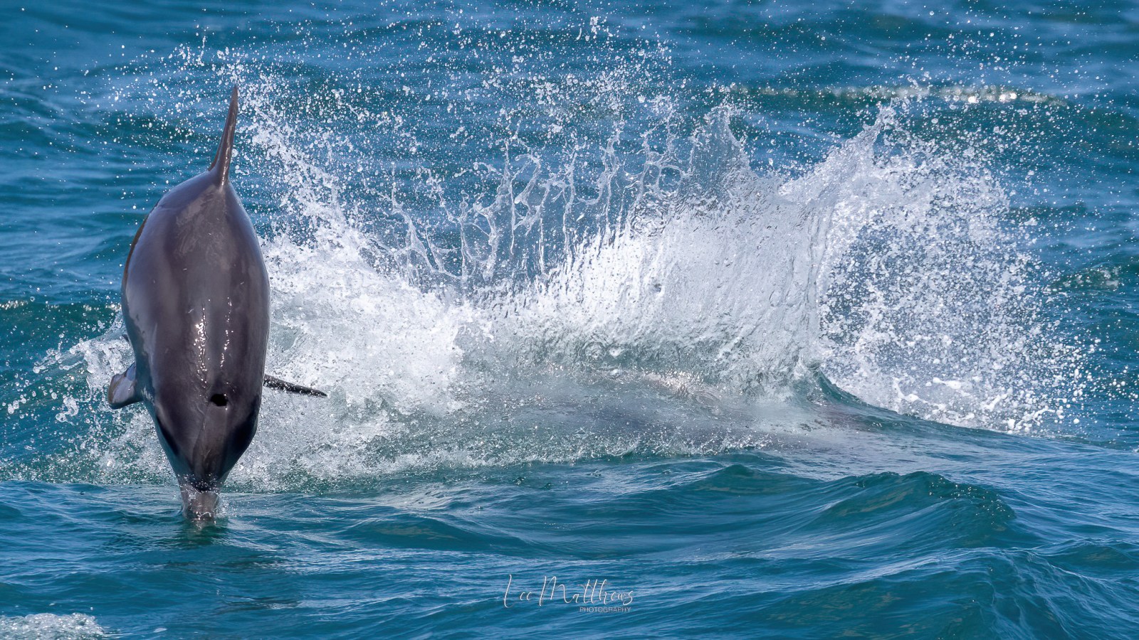 a person riding a wave on a surfboard in the water