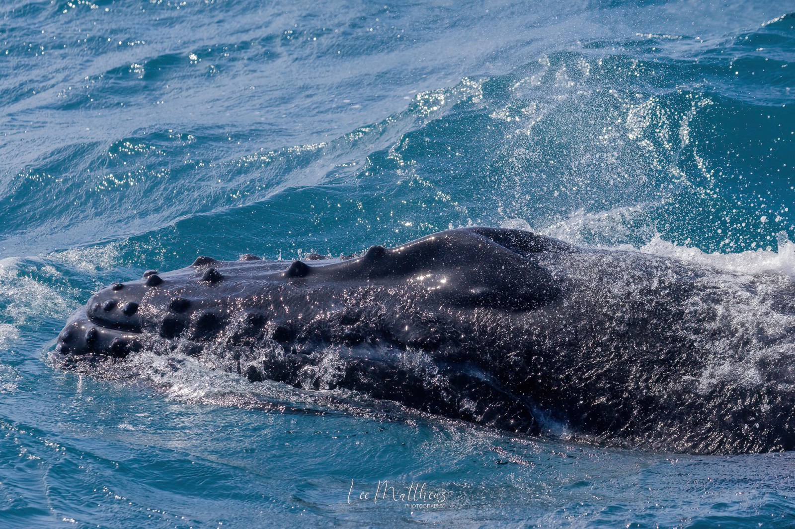 a large body of water