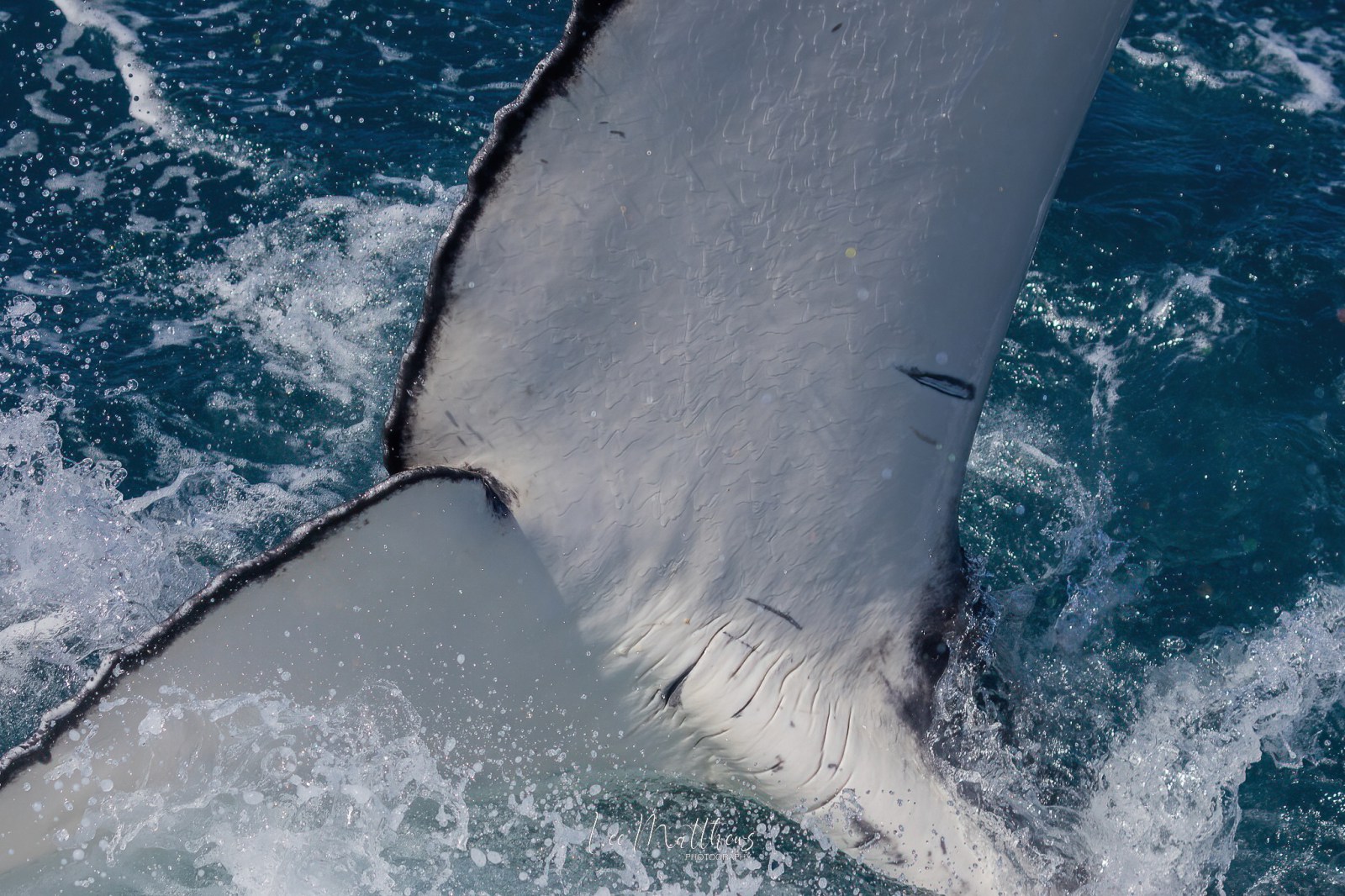 a man riding a wave on a surfboard in the water