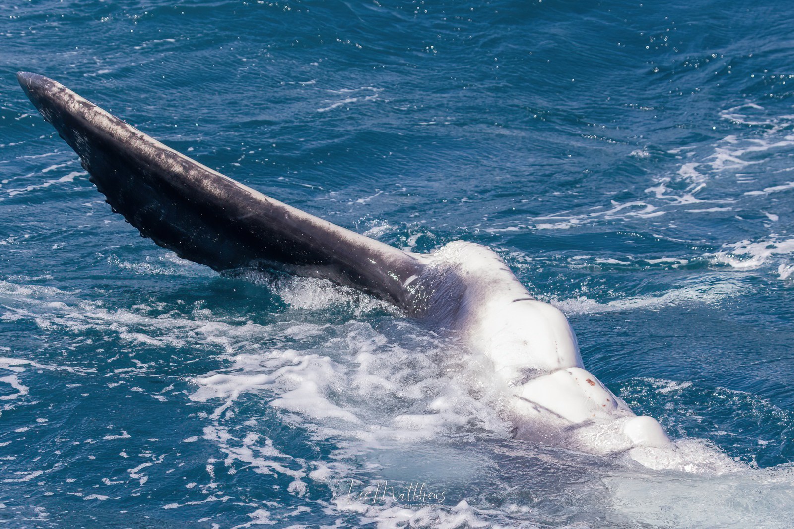 a man riding a wave on a surfboard in the water
