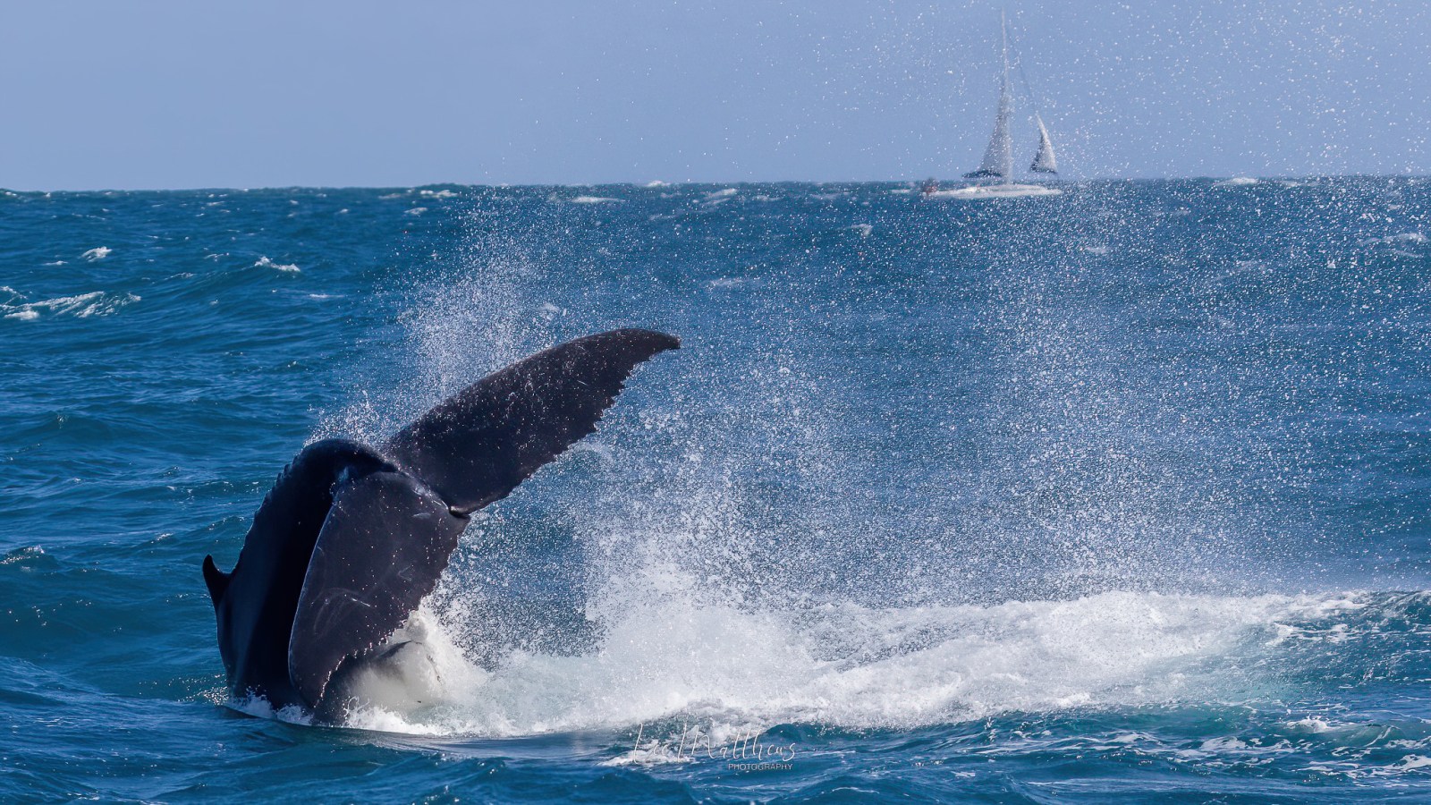 a man riding a wave on top of a body of water