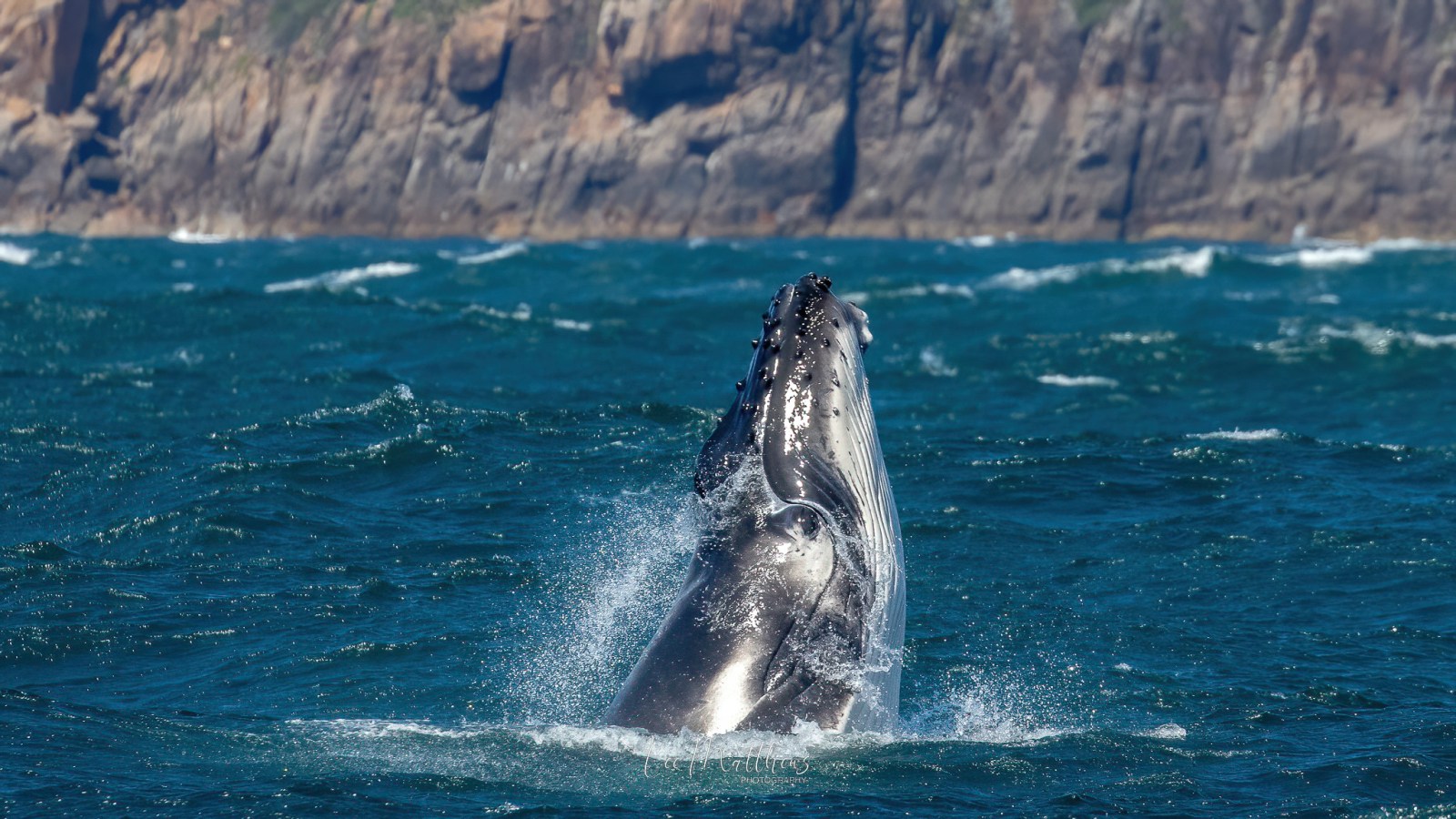 a body of water with a mountain in the background