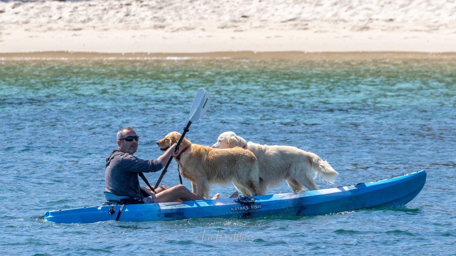 MOONSHADOW TQC CRUISES PORT STEPHENS WHALE WATCHING