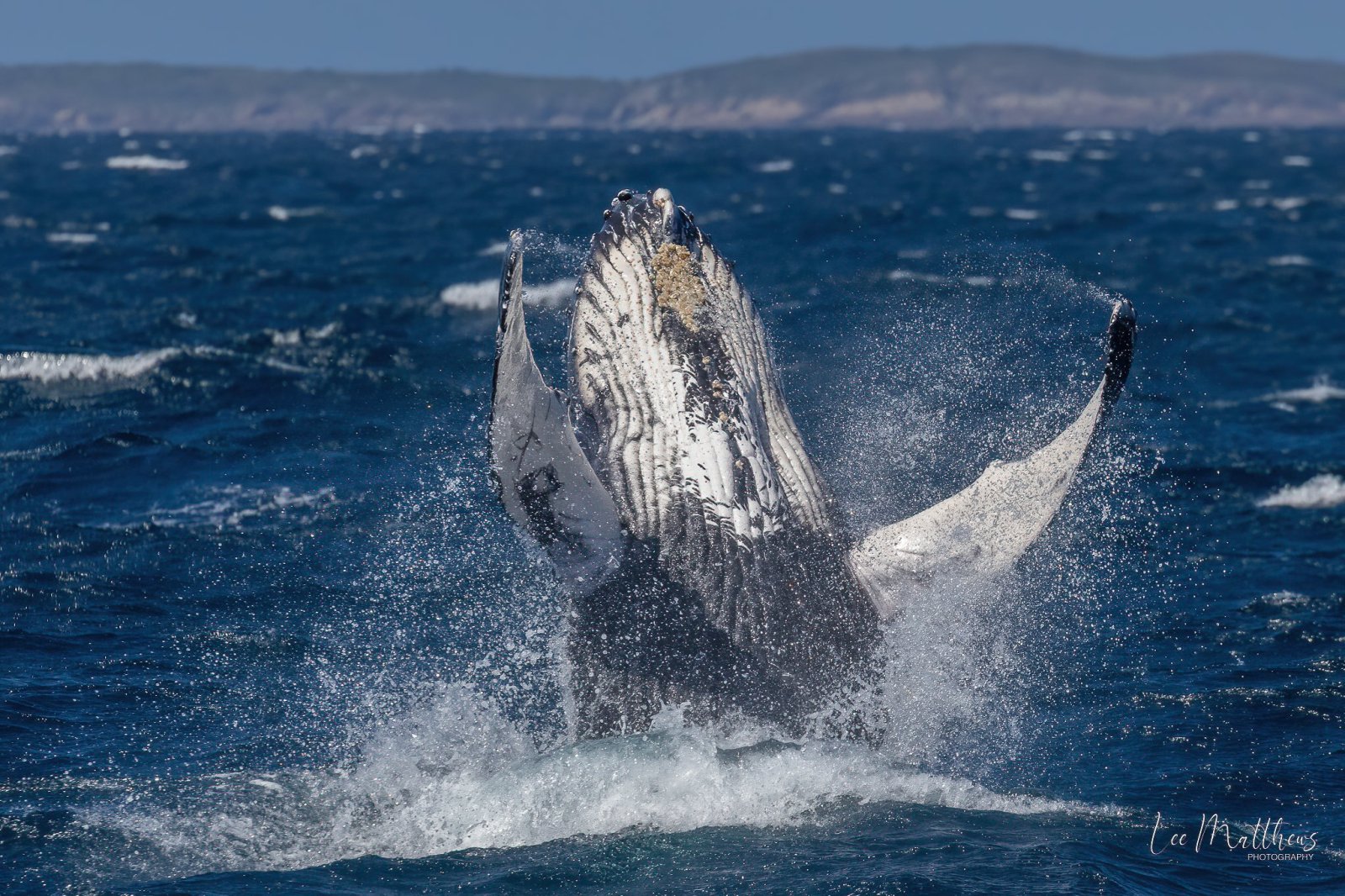 a man flying through the air while riding a wave in the ocean