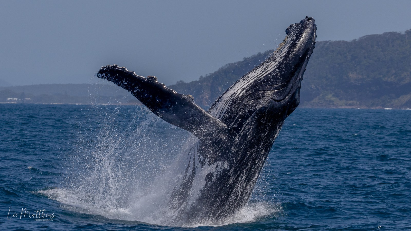 a man flying through the air while riding a wave in the ocean