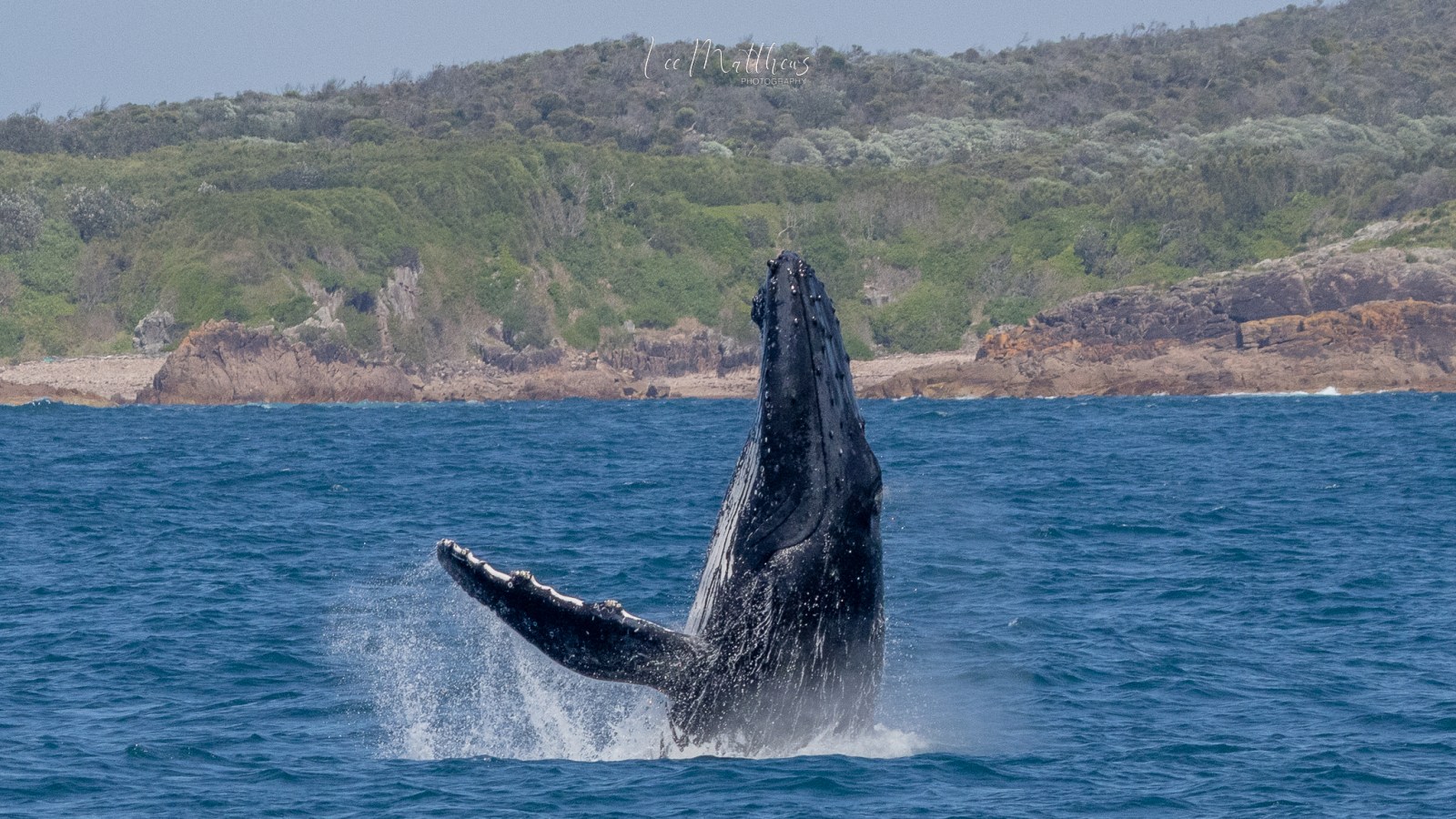 a body of water with a mountain in the background