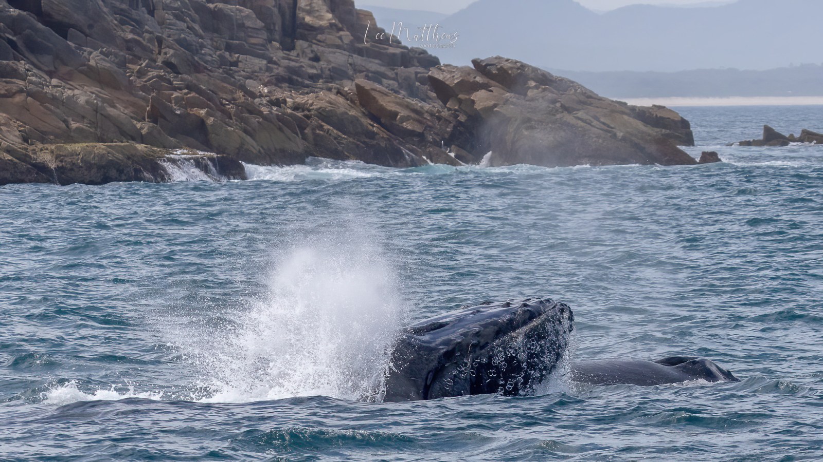 a body of water with a mountain in the background
